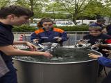 Bild IMG_1543RAWresize.jpg
